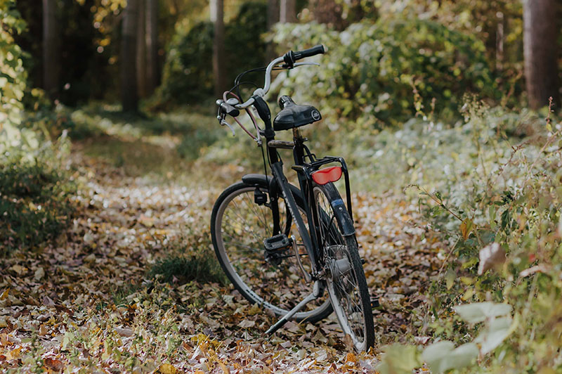 Vélo sur un sentier de forêt